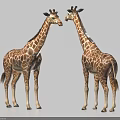 Two Giraffes Facing Each Other Against Light Blue Background With Spotted Pattern And Tall Necks 3d model