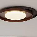 Modern Round Wooden Outer Ring Ceiling Light With Black Border And White Glow 3d model