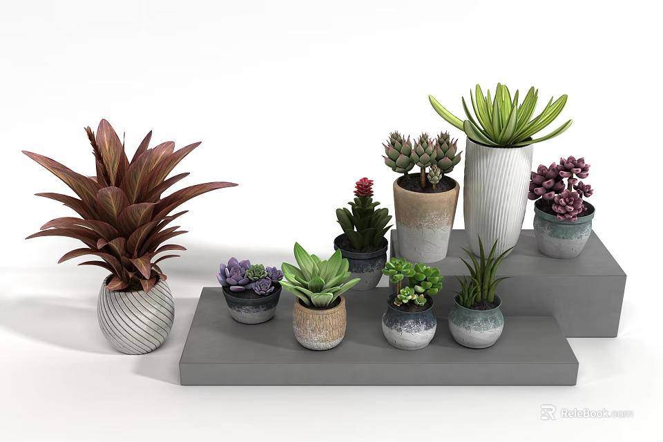 Bonsai Potted Plants With Various Species In Colorful Shaped Pots On Step 3d model 