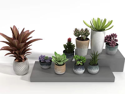 Bonsai Potted Plants With Various Species In Colorful Shaped Pots On Step 3d model