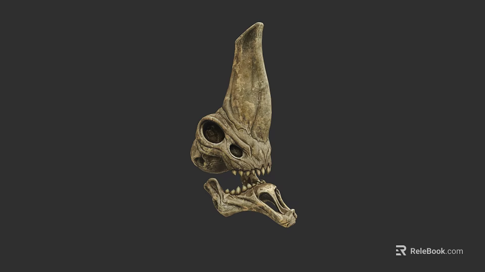 Ancient Aquatic Animal Skull Fossil With Horned Structure And Sharp Teeth 3d model 