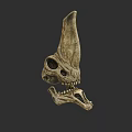 Ancient Aquatic Animal Skull Fossil With Horned Structure And Sharp Teeth