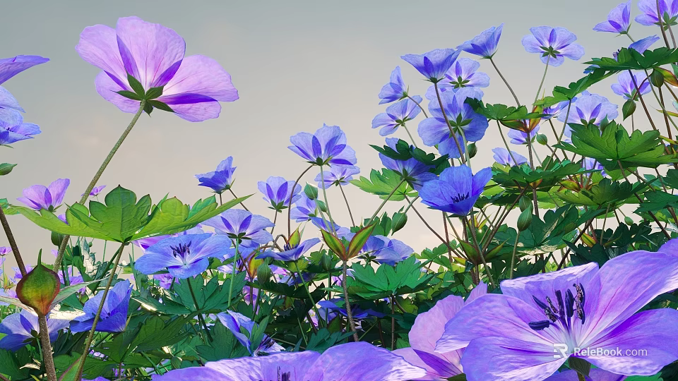 Vibrant Purple Flowers And Lush Green Leaves Blooming In Natural Outdoor Setting 3d model 