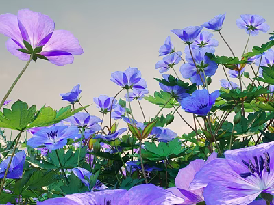 Vibrant Purple Flowers And Lush Green Leaves Blooming In Natural Outdoor Setting 3d model