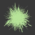 Grass Plant With Green Foliage And Dark Slender Spikes Growing In Clump