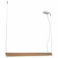 Modern Sleek Ceiling Light Design For Minimalist Indoor Home Living Space