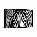 Animal Painting Zebra Head Close-up with Black and White Stripes Framed in Black Frame