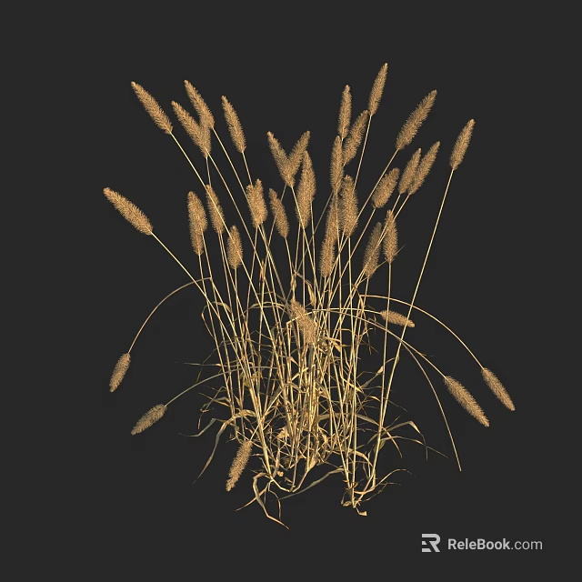 Decorative Golden Dried Grass Floral Arrangement In Vase With Black Background 3d model 