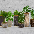 Bonsai Potted Plants with Various Material Flowerpots and Different Leaf Shapes for Indoor