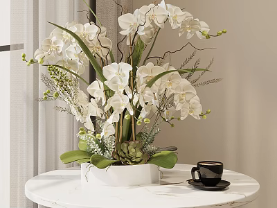 Potted Orchid Plant With White Orchids Green Leaves In White Pot On Round Table 3d model