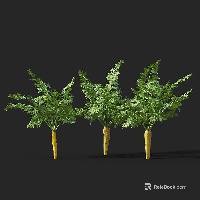 Fresh Carrots with Green Leaves and Yellow Roots on Black Background 3d model 