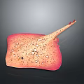 Pink Flat Body Fish Decorative Ornament With Spots And Long Slender Tail For Home Decor