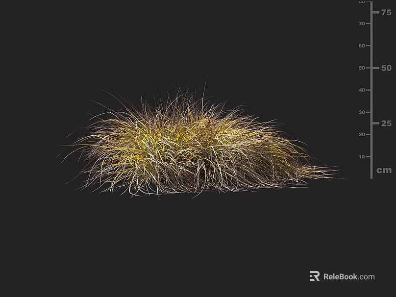 Vibrant Ornamental Grass With Yellow Green Foliage And Clumping Growth Pattern 3d model 