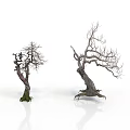 Withered Trees Scene With Thick Trunk Exposed Roots And Black Text On White Background 3d model