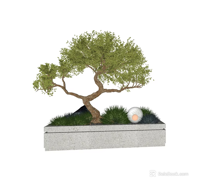 Artistic Bonsai Plant with Curved Trunk Green Leaves in Stone Planter and Decorative Ball 3d model 