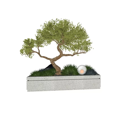 Artistic Bonsai Plant with Curved Trunk Green Leaves in Stone Planter and Decorative Ball 3d model