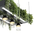 Modern Chandelier Design With Black Frame Glass Shades And Hanging Greenery Plants