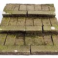 Old Brick Stairs With Moss Covered Surface And Weathered Texture 3d model