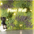Indoor Decorative Plant Wall With Green Foliage Purple Lavender And Small Illuminated Lights