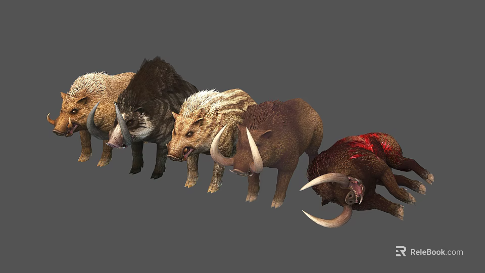 Group of Wild Boars in Different Poses With Tusks and Bloodstain 3d model 