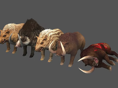 Group of Wild Boars in Different Poses With Tusks and Bloodstain 3d model