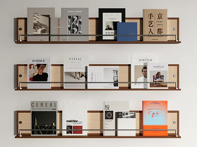 Modern Storage Shelf with Layered Design Holding Books and Decorative Magazines 3d model