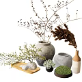 Artistic Bonsai Potted Plants in Clay Vases with Stone Tray and Dried Branches