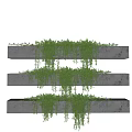 Vines Hanging From Three Concrete Shelves With Lush Green Foliage