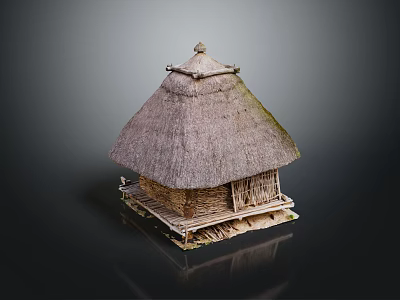 Traditional Thatched Roof Cottage With Wooden Structure Platform Base And Simple Doors Windows 3d model
