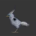 Cute 3D Bird Model With White Feathers Blue Head Crest Feathers Yellow Beak Spread Wings