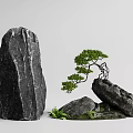 Natural Rockery Stones Decorated With Bonsai Pine Tree And Green Ferns