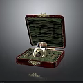 Decorative Ring Weapon Inside Open Red Case With Green Lining And Gold Trim