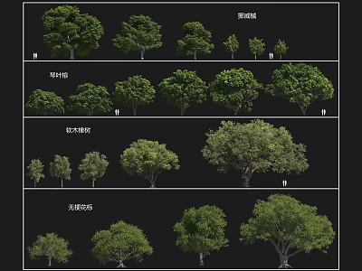 Various Arbor Tree Models Showcasing Different Sizes And Foliage Types 3d model