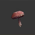 Vibrant Red Mushroom Plant with White Spots on Surface and Dark Background