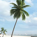 Tall Palm Tree With Lush Green Fronds Against Blue Sky And White Clouds