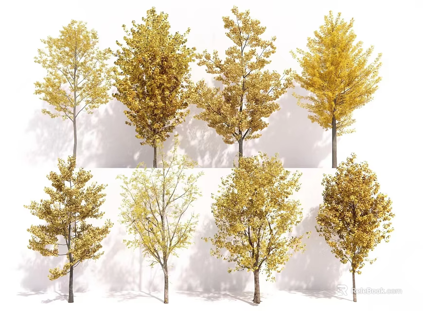 Different Varieties of Deciduous Trees With Golden Autumn Leaves And Unique Shapes 3d model 