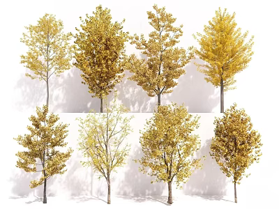 Different Varieties of Deciduous Trees With Golden Autumn Leaves And Unique Shapes 3d model
