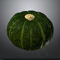 Fresh Green Pumpkin With Striped Surface And Yellow Stem On Dark Background 3d model