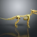 Golden Dinosaur Skeleton Model Standing On Black Background With Reflection