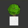 Lush Green Plant with White Speckled Square Planter on Gray Background