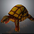 Colorful Turtle with Orange Yellow Shell and Red Green Patterned Body in 3D Rendered Illustration