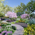 Garden Landscape With Curved Pathway Colorful Flower Beds And Cherry Blossom Trees