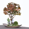 Modern Decorative Tree Pit With Red Leaf Tree And Small Plants 3d model