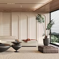 Modern Living Room Interior With Beige Sofa Black Coffee Tables Area Rug And Potted Plants