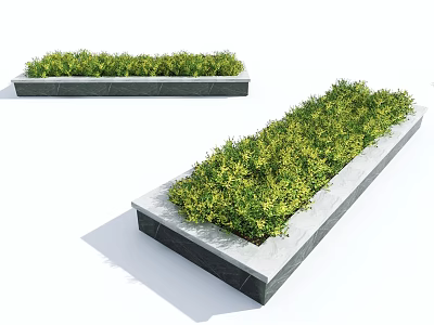 Green Shrubs in Rectangular Stone Planters for Outdoor Landscape Design 3d model