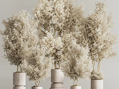 Lush Bonsai Plants with Light Colored Leaves in Gray Cylindrical Pots of Various Heights 3d model