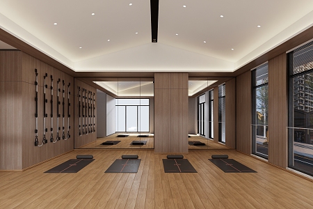 Modern Yoga Room Gym 3d model