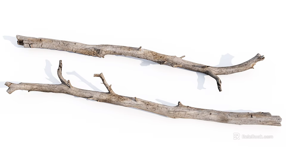 Natural Dry Wood Branches With Rough Texture For Stone And Wood Art 3d model 