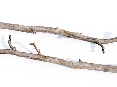 Natural Dry Wood Branches With Rough Texture For Stone And Wood Art 3d model