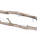 Natural Dry Wood Branches With Rough Texture For Stone And Wood Art